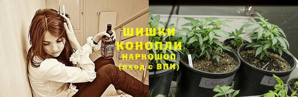 мяу мяу мука Абаза