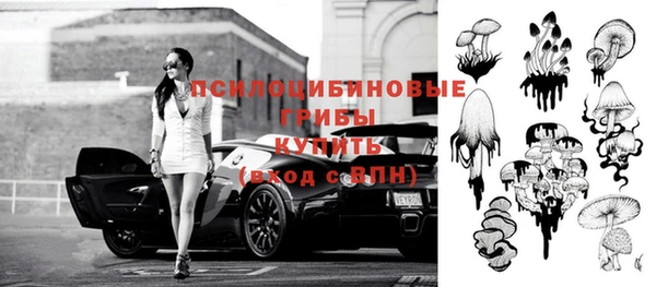 шишки Алексеевка