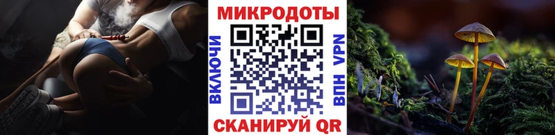 Псилоцибиновые грибы GOLDEN TEACHER Берёзовка